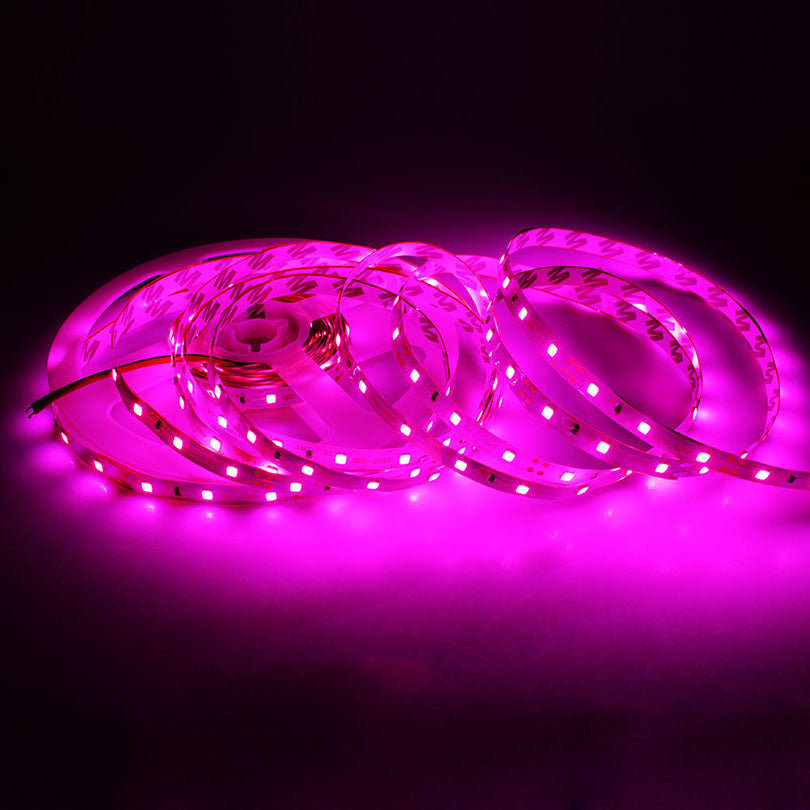 Pink LED Strip Light 2835 - Pink Color (120 LED)