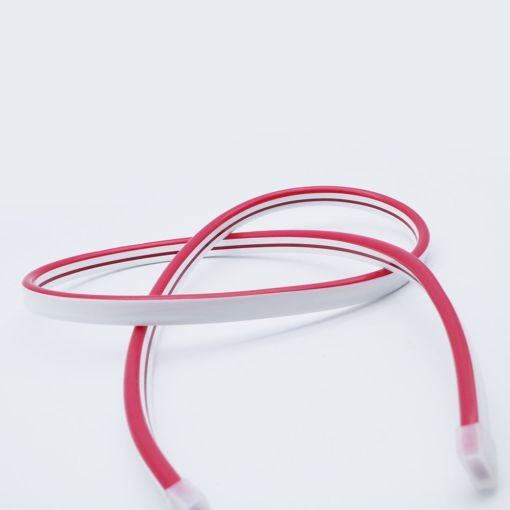 Neon Flex LED Strips Light (Red)