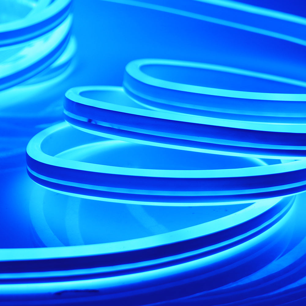 Neon Flex LED Strips Light (Blue)