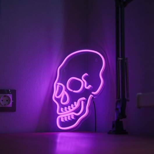 Skull Neon Sign